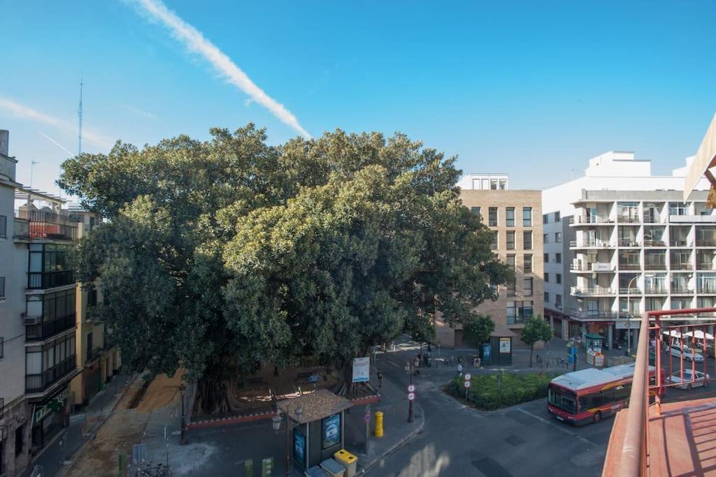 Penthouse!!! Center Of Seville!!! 2 Bedroom + 2 Bath!!! エクステリア 写真